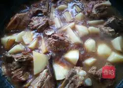 Illustration of Braised Pork Ribs and Stewed Potatoes 20