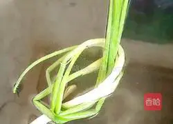 Illustration of how to cross the water fish 11