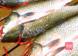 Illustration of how to make cured fish 1