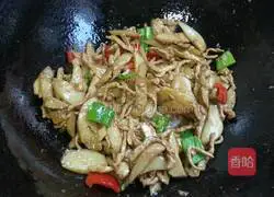 Illustration of shredded king oyster mushrooms 8