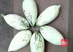 Illustration of how to make stir-fried rat melon and meat 1