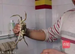 Illustration of steamed hairy crabs 1