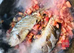 Illustration of Braised Tofu with Yellow Croaker in Tomato Sauce 9