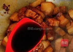 Illustration of Braised Pork Recipes 5