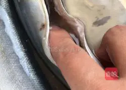 Illustration of grilled saury 2