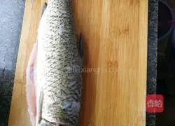 Illustration of home-style pickled fish 1