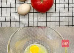 Staple Food Companion - Tomato Scrambled Eggs Recipe Illustration 1