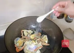 Brothers are good (hairy crabs and small cockroaches) illustration 5