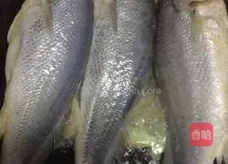 Yellow Croaker Story Recipe 2