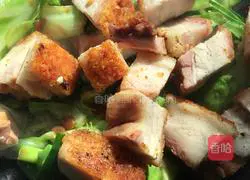 Illustration of how to stir-fry Macau pork with shredded cabbage 9