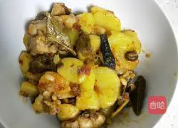 Potato braised chicken recipe 9