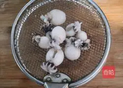 Three-vegetarian cuttlefish recipe illustration 6