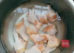 Illustration of braised chicken legs 2