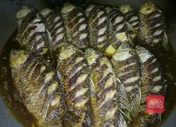 Illustration of braised crucian carp in sauce 4