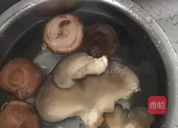Illustration of how to make double mushroom meat slices (fried mushroom meat) 1