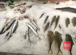 Braised Illustration of how to cook saury 1