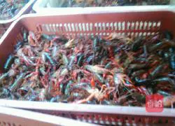 Illustration of how to make steamed crayfish 1