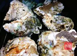 Illustration of grilled oysters 2