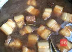 Braised Pork Recipe Illustration 13