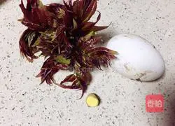 Illustration of how to bake goose eggs with spring sprouts 2