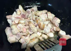 Illustration of home-cooked braised pork 5