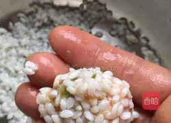 (Steamed Vegetables) Pearl Meatballs Illustration 10