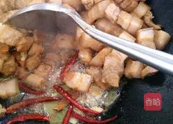Illustration of how to make braised pork 5