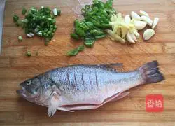 Illustration of braised whole fish 1