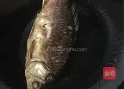 Illustration of how to make crucian carp stewed with tofu and vermicelli 3