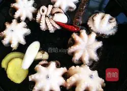 Illustration of how to make boiled octopus 4