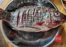 Braised tilapia recipe 2