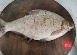 Illustration of Braised Wuchang Fish Recipe 2