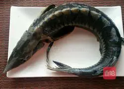 Illustration of how to make steamed sturgeon 1