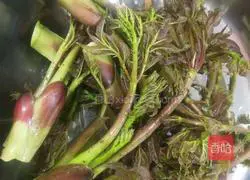 Illustration of how to stir-fry ham and thorn sprouts 1