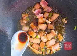 Braised Pork Recipe Illustration 6