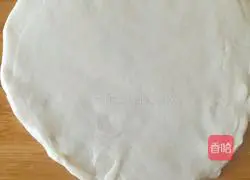 Spring roll recipe illustration 8