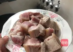 Illustration of home-cooked braised pork 4