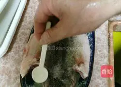 Illustration of steamed seabass 4