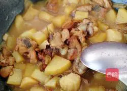 Illustration of braised chicken legs with potato cubes 9