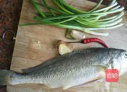 Illustration of Braised Yellow Croaker 1