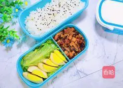 Illustration of braised pork rice bento 26