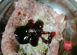 Illustration of braised lion head 4