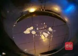 Illustration of homemade crispy pork 5