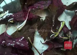 Illustration of how to make spicy beer lobster 2