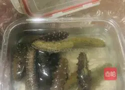 Illustration of soaking sea cucumber 3