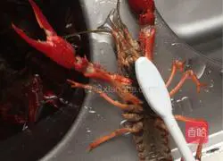 Original braised in soy sauce Illustration of how to make crayfish 2