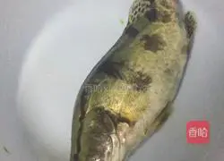 Illustration of home-style steamed mandarin fish 1