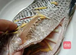 # Steamed Vegetables # Illustration of steamed tilapia 7