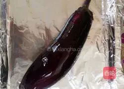 Ecstasy Roasted Eggplant Recipe Illustration 1