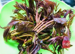 Spring Buds and Goose Eggs Spring Recipe Illustration 1